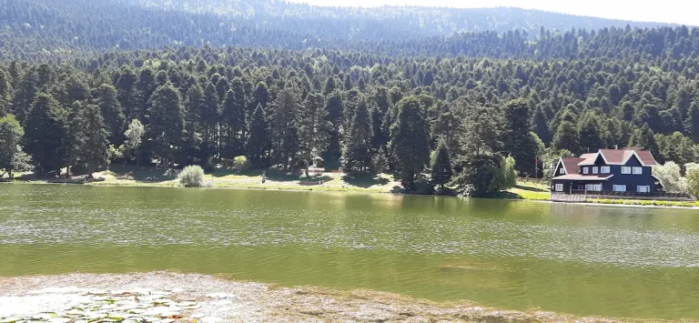 Bolu Gölcük Tabiat Parkı